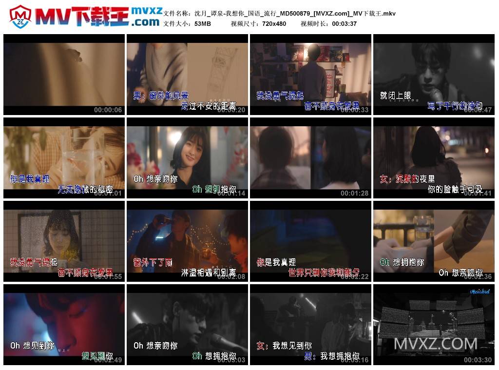 沈月_谭泉-我想你_国语_流行_MD500879